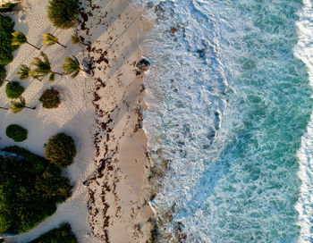 Aerial view of caribbean beach and sea