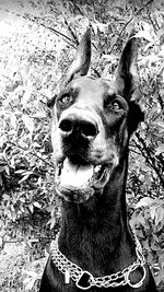 Close-up of woman in bikini