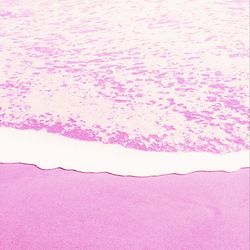 Close-up of pink petals