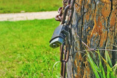 Close-up of metal lock and chain on field