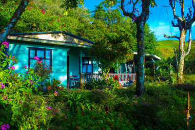 House amidst plants and trees by building against sky