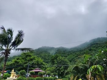 Scenic view of palm trees against sky