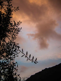 Silhouette of tree against cloudy sky