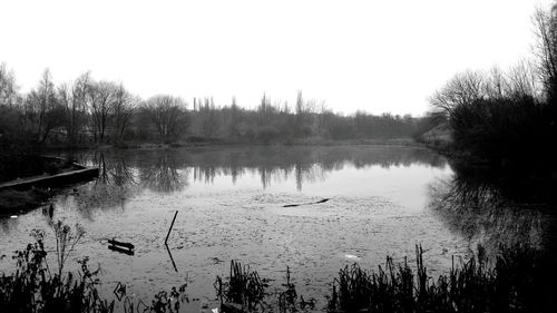 Reflection of trees in water