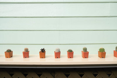 Row of potted plants on wall