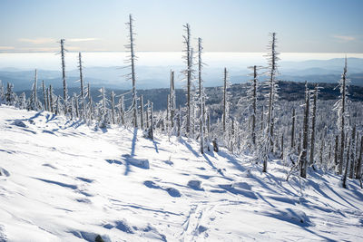 Scenic view of snow covered field against sky