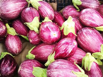 Full frame shot of pink for sale at market