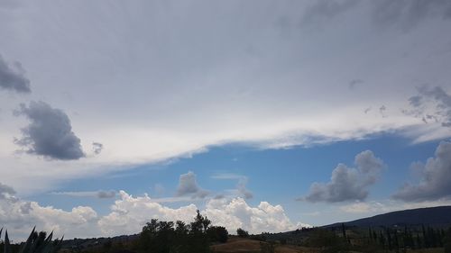 Low angle view of trees against sky