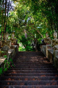 Low angle view of steps amidst trees in forest
