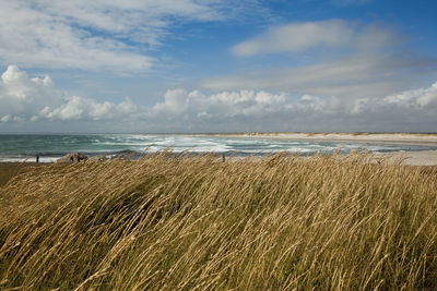 Scenic view of beach against cloudy sky