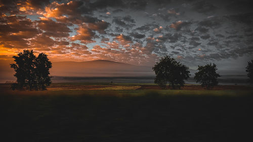 Silhouette trees on field against sky during sunset