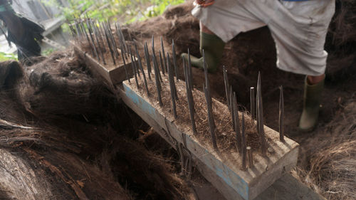 Low section of person working on field