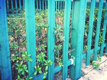 Close-up of metal fence