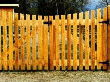 Row of fence against trees