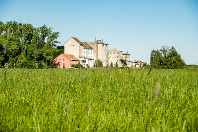 Plants growing on field by houses against clear sky