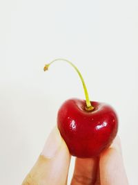 Close-up of hand holding apple against white background