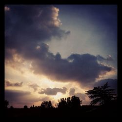 Silhouette of trees against dramatic sky