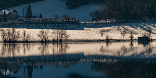 Reflection of bare trees in lake during winter