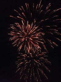 Low angle view of firework display at night