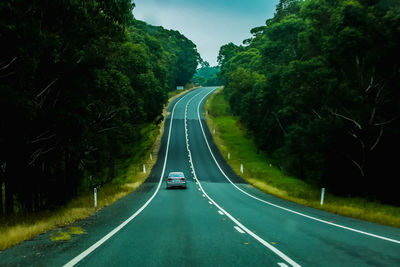 Highway amidst trees