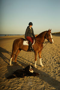 Man riding horse on land against sky