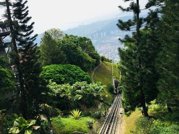 Railroad tracks amidst trees in forest against sky