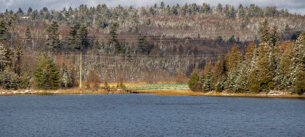 Scenic view of lake against trees