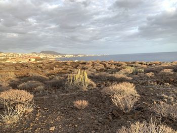 Panoramic view on the island of tenerife