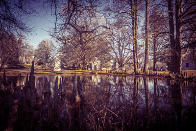 Bare trees by lake in forest against sky