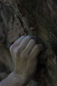 Close-up of human hand on rock