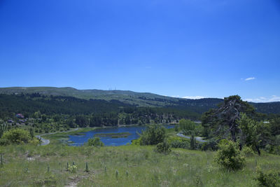 Scenic view of landscape against clear blue sky