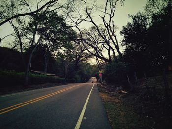 Road amidst trees against sky