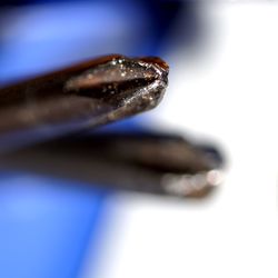 Close-up of insect on white surface