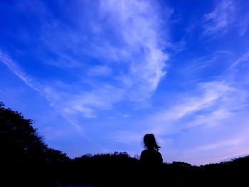 Silhouette people on field against blue sky