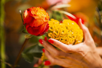 Cropped hand of woman holding flowering plant