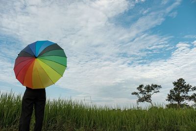 The landscape of rice fields and blue sky in the morning of ubon ratchathani province, thailand