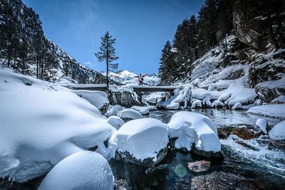 Snow covered trees against sky