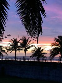 Silhouette palm trees by swimming pool against sky during sunset