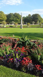 Plants growing on field in park