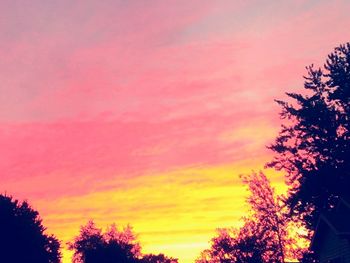 Silhouette of trees at sunset