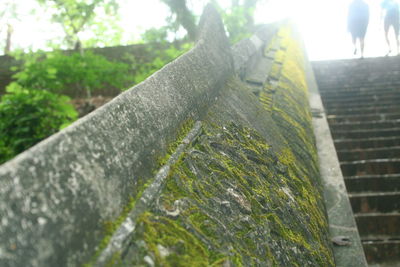 Close-up of carving on wall