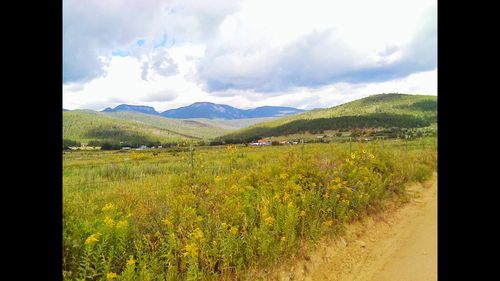 Scenic view of field against sky