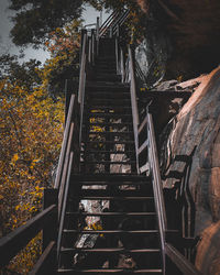 Low angle view of railroad bridge during autumn