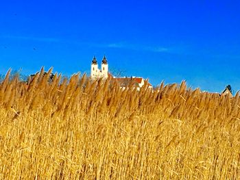 Hay bales on field against clear sky