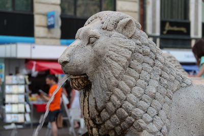 Close-up of lion statue against blurred background