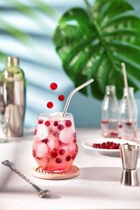 Cranberry soda in the glass with cranberries and ice
