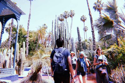 Rear view of people standing on palm trees
