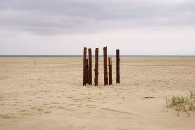 View of wooden posts on beach