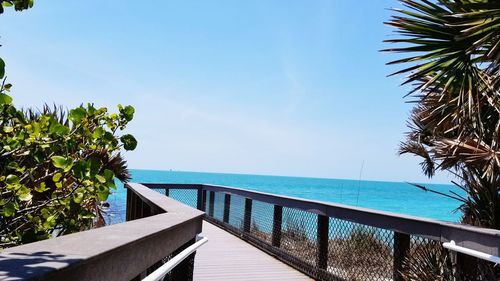 Palm trees on beach against blue sky