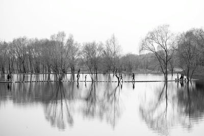 Reflection of bare trees in lake against sky